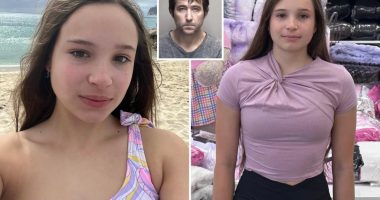 3 men investigated over missing girl, 15 â including one sharing sick sex chats: affidavit